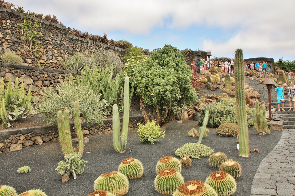 Foto: Jardín de Cactus - Guatiza (Lanzarote) (Las Palmas), España