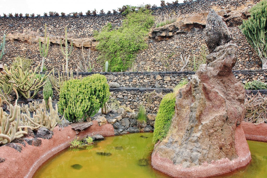 Foto: Jardín de Cactus - Guatiza (Lanzarote) (Las Palmas), España