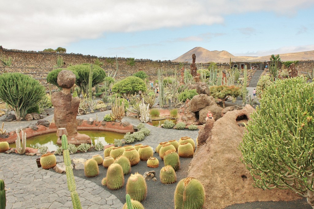 Foto: Jardín de Cactus - Guatiza (Lanzarote) (Las Palmas), España