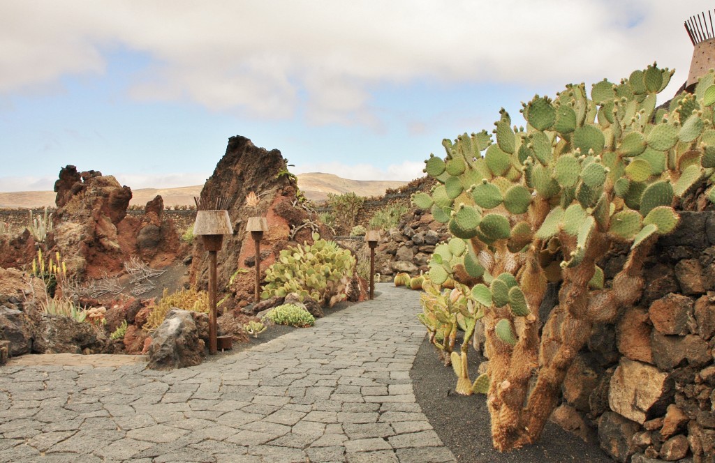 Foto: Jardín de Cactus - Guatiza (Lanzarote) (Las Palmas), España