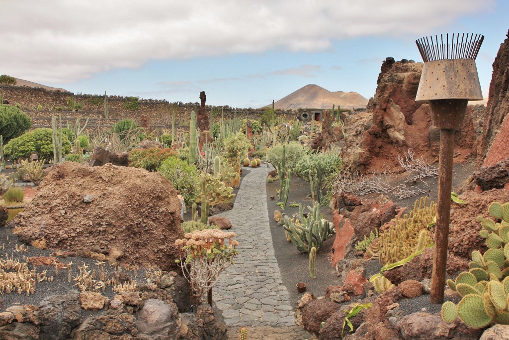 Foto: Jardín de Cactus - Guatiza (Lanzarote) (Las Palmas), España