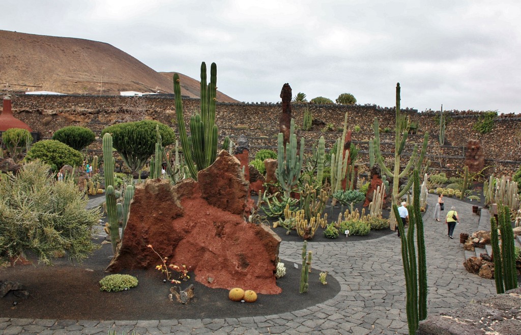 Foto: Jardín de Cactus - Guatiza (Lanzarote) (Las Palmas), España
