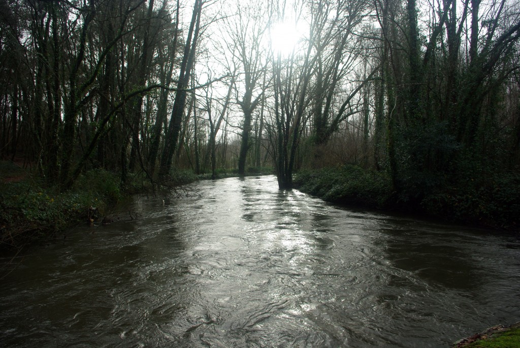 Foto de O Porriño (Pontevedra), España