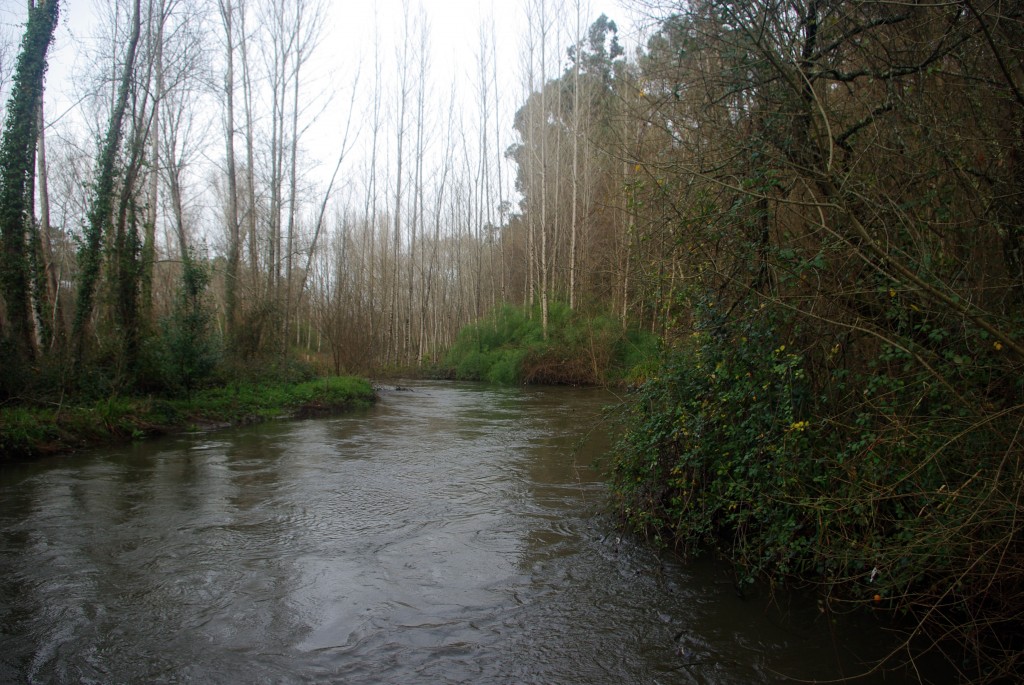 Foto de O Porriño (Pontevedra), España