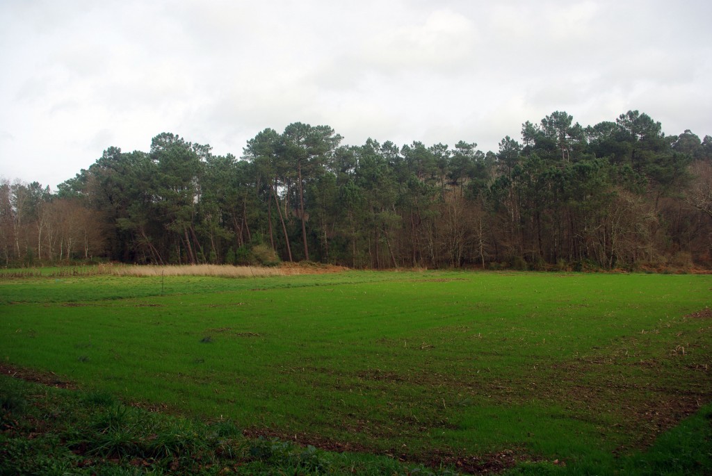 Foto de O Porriño (Pontevedra), España