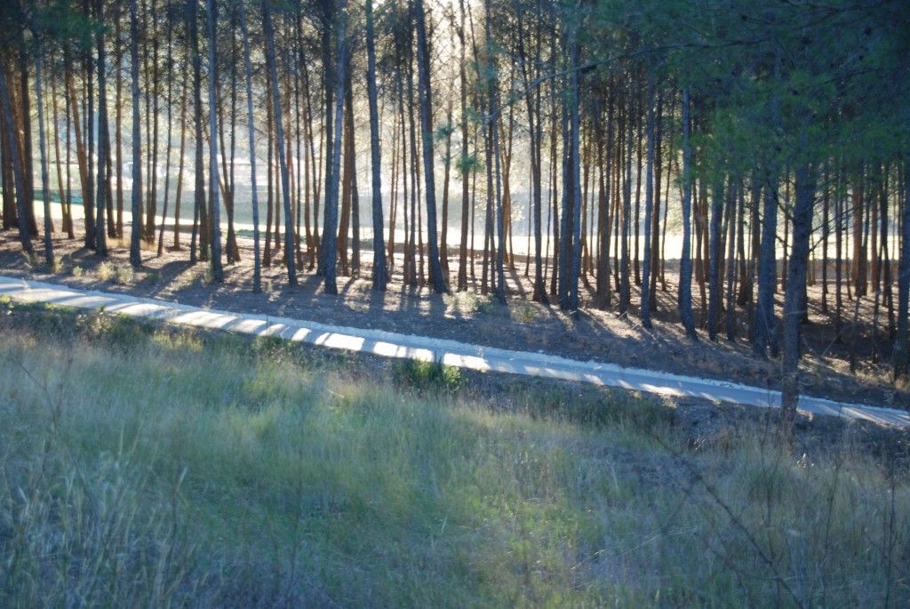 Foto de Cofrentes (València), España