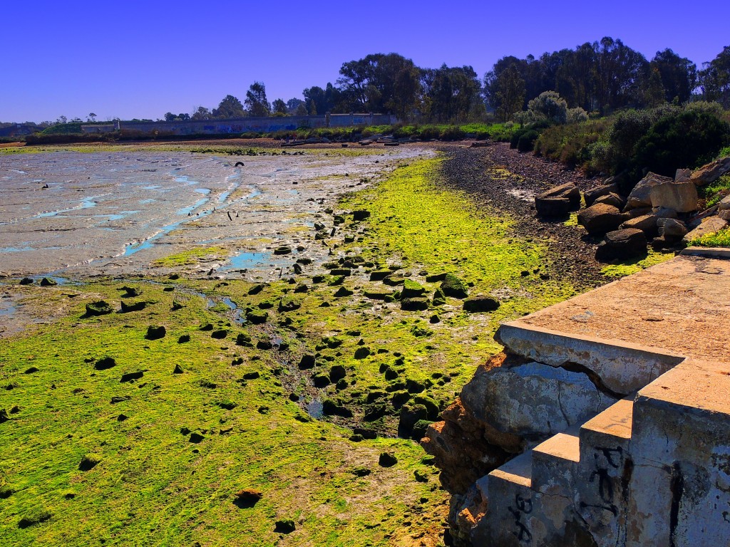 Foto: Casería de Ossio - San Fernando (Cádiz), España