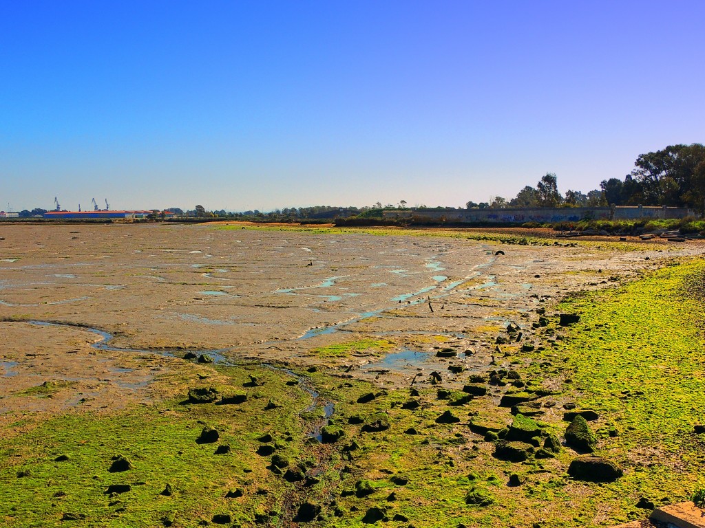 Foto: Casería de Ossio - San Fernando (Cádiz), España