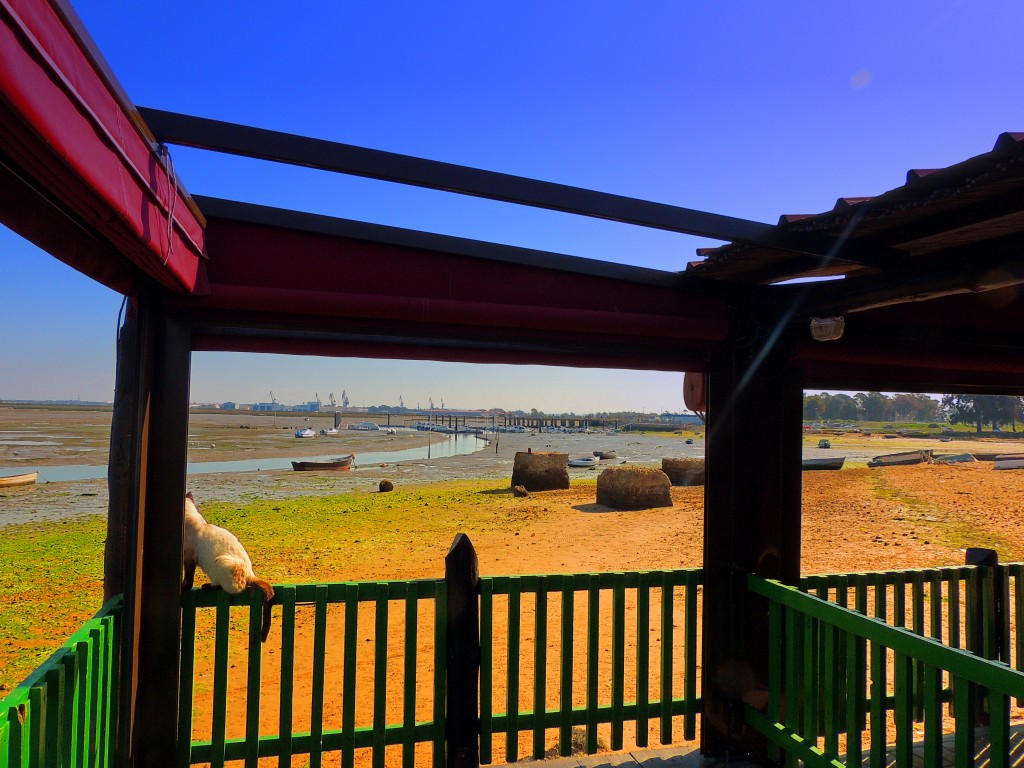 Foto: Casería de Ossio - San Fernando (Cádiz), España