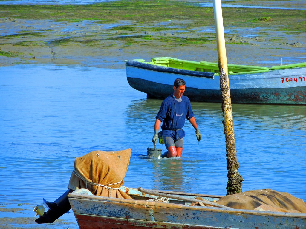 Foto: Casería de Ossio - San Fernando (Cádiz), España