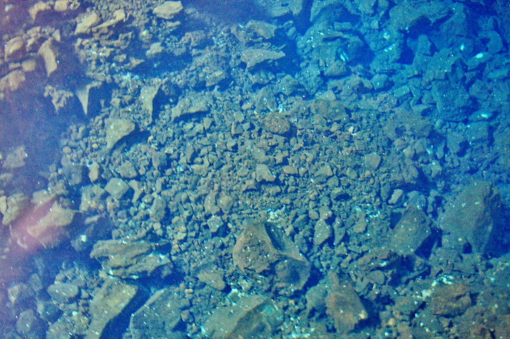 Foto: Jameos del Agua - Haría (Lanzarote) (Las Palmas), España