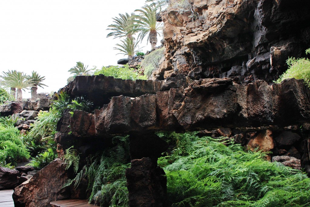 Foto: Jameos del Agua - Haría (Lanzarote) (Las Palmas), España