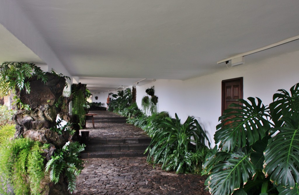 Foto: Jameos del Agua - Haría (Lanzarote) (Las Palmas), España