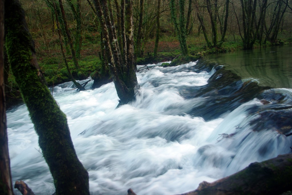 Foto de Fornelos de Montes (Pontevedra), España