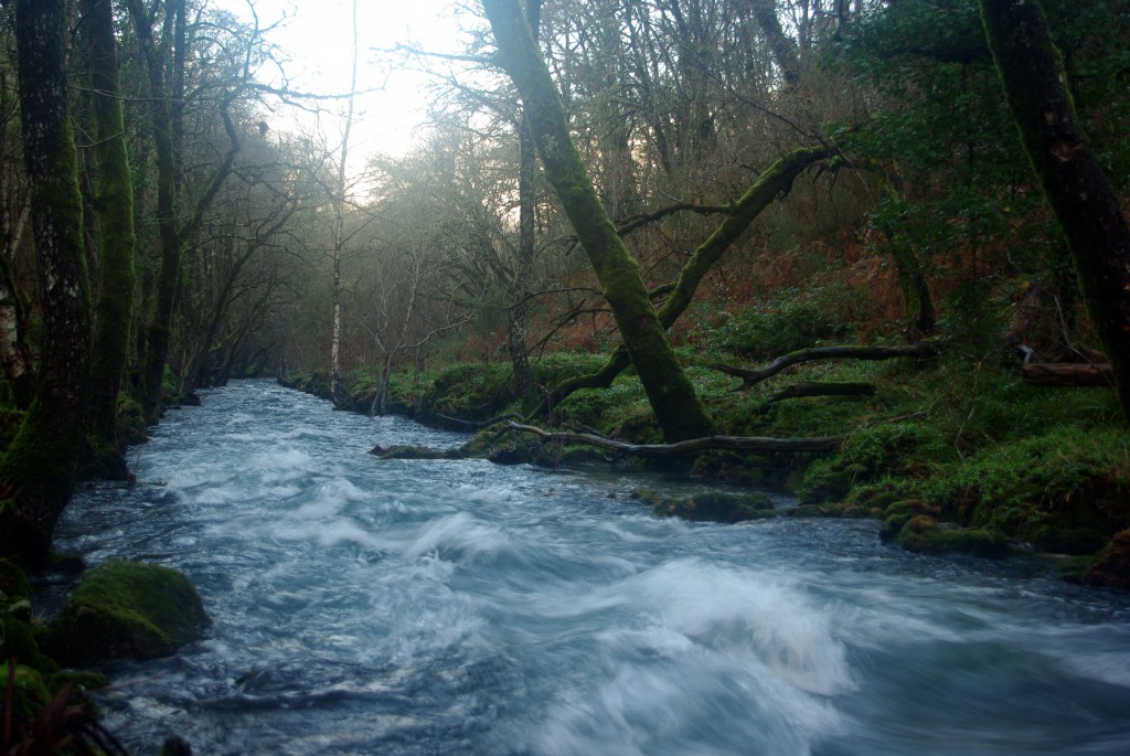 Foto de Fornelos de Montes (Pontevedra), España