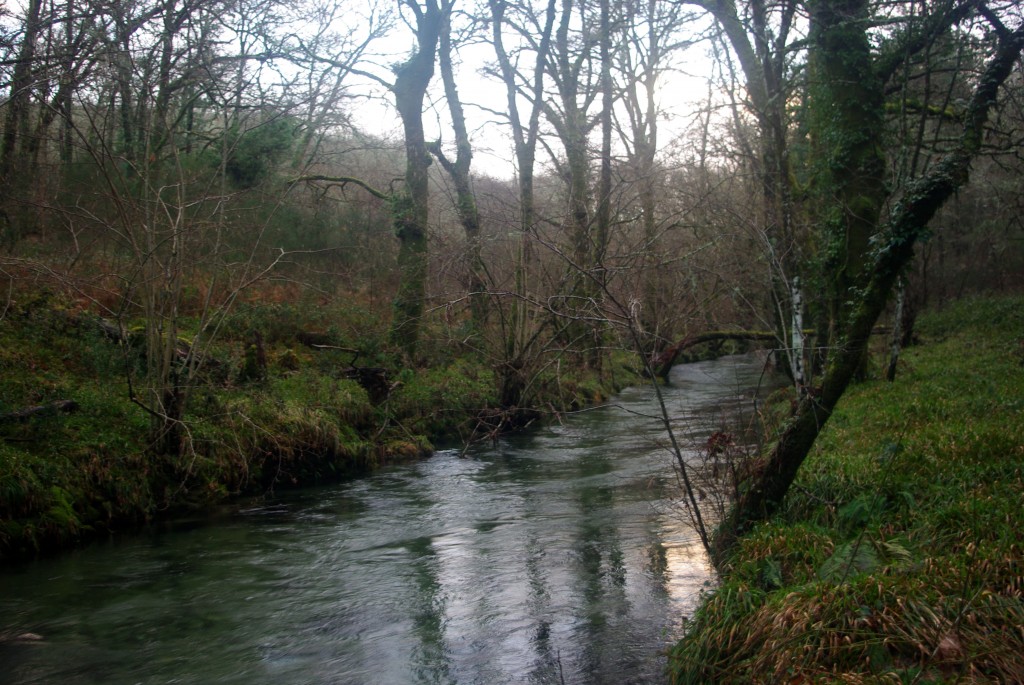 Foto de Fornelos de Montes (Pontevedra), España