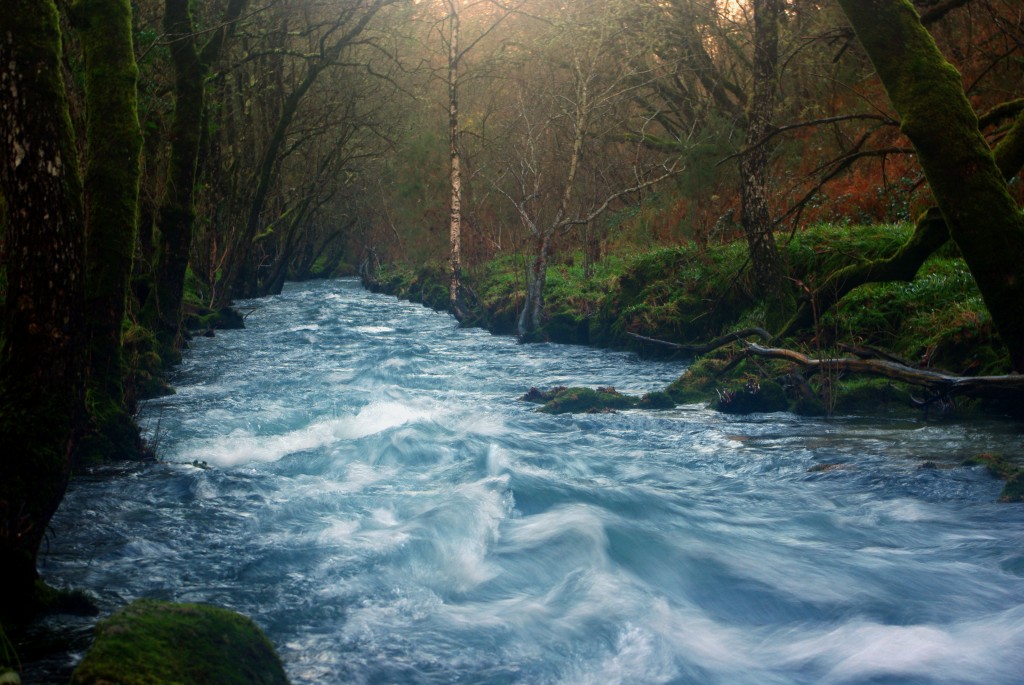 Foto de Fornelos de Montes (Pontevedra), España
