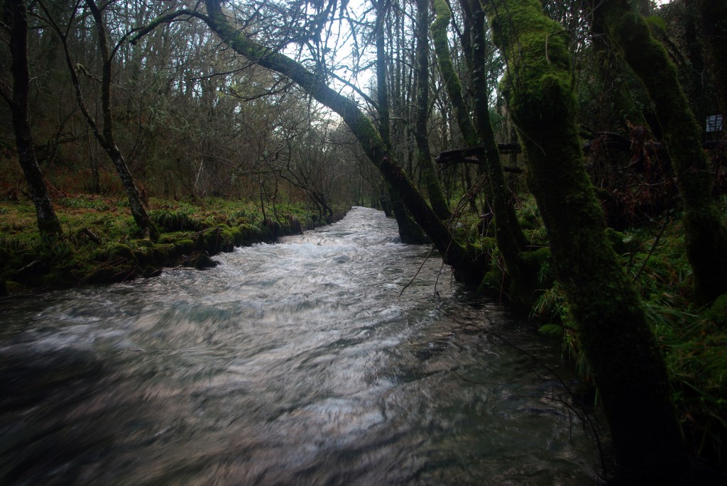 Foto de Fornelos de Montes (Pontevedra), España
