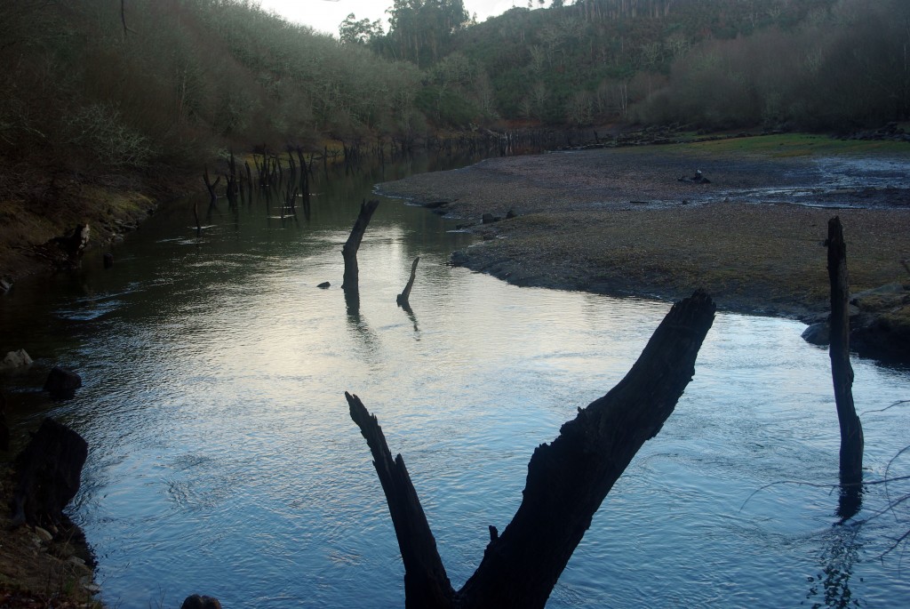 Foto de Fornelos de Montes (Pontevedra), España