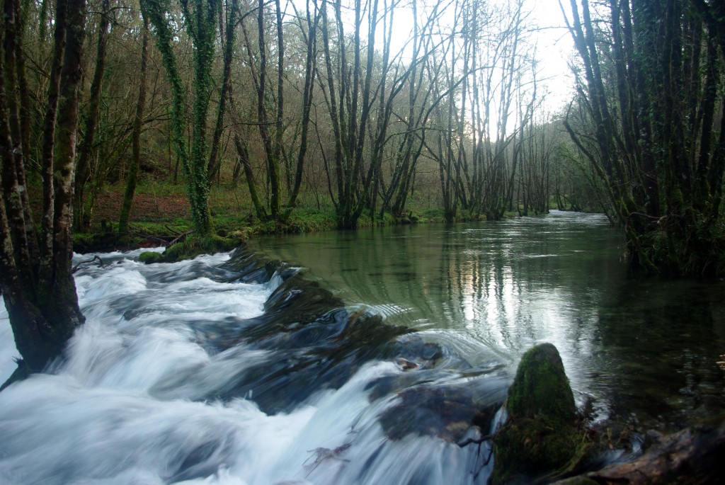 Foto de Fornelos de Montes (Pontevedra), España