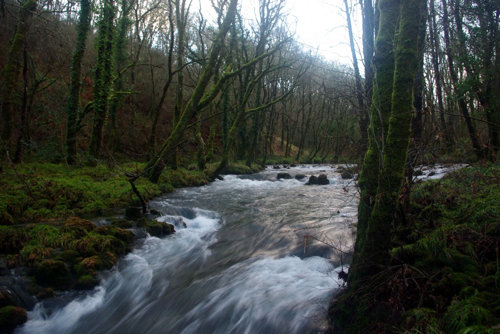 Foto de Fornelos de Montes (Pontevedra), España