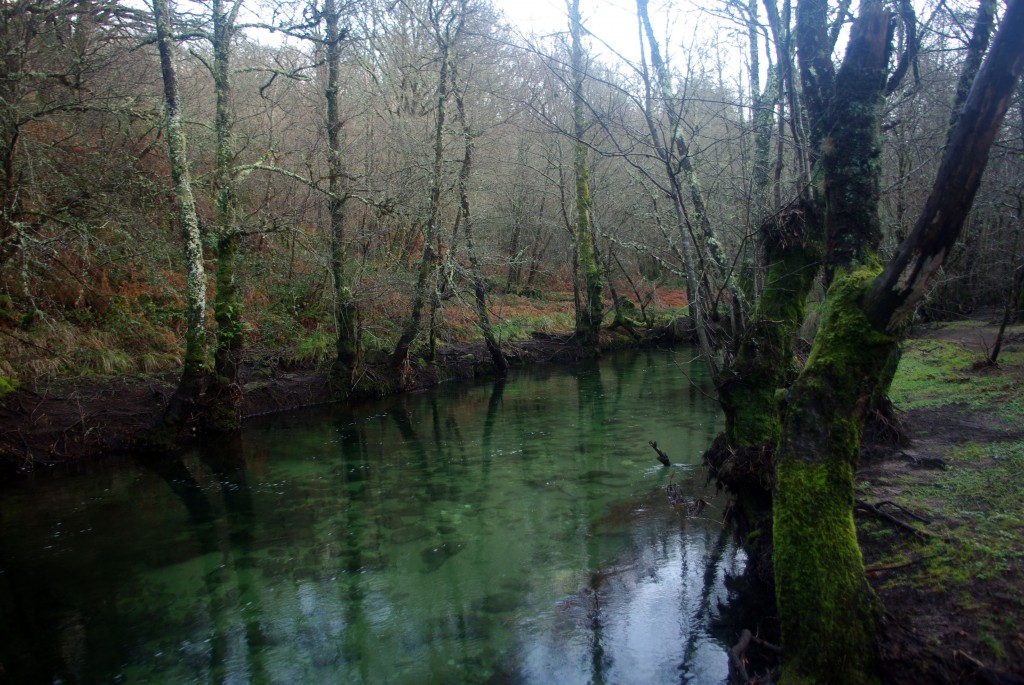 Foto de Fornelos de Montes (Pontevedra), España
