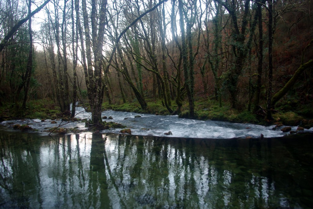 Foto de Fornelos de Montes (Pontevedra), España
