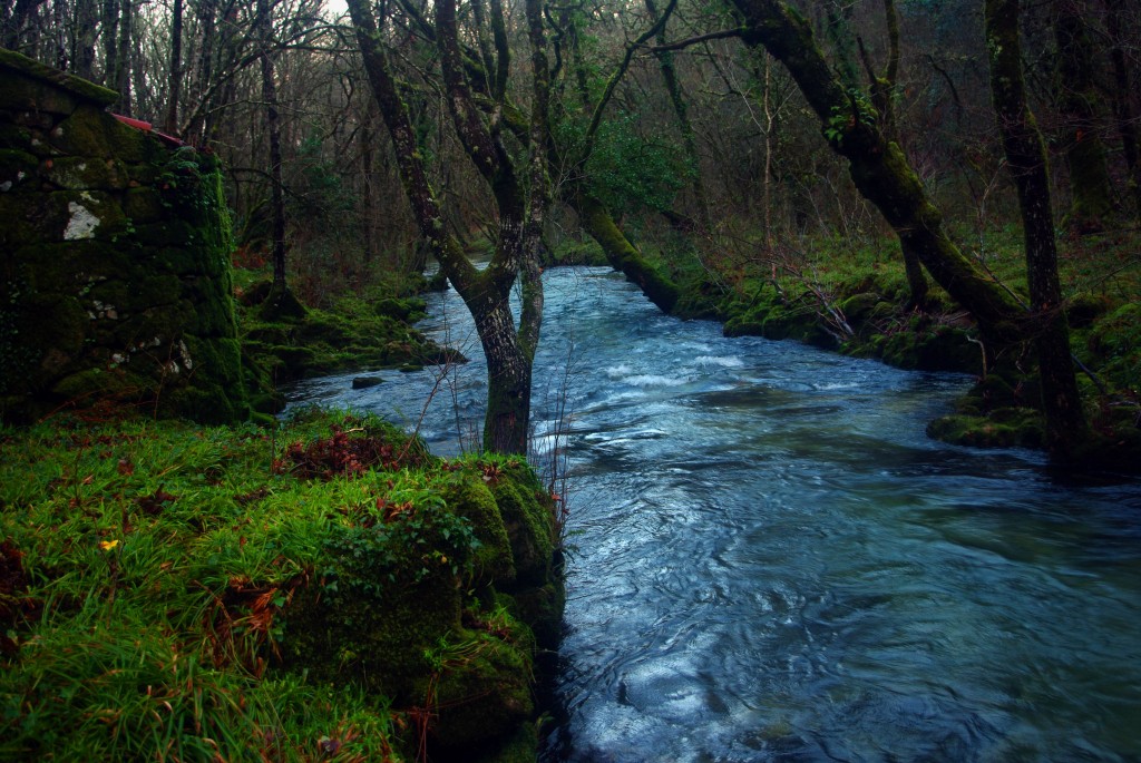 Foto de Fornelos de Montes (Pontevedra), España