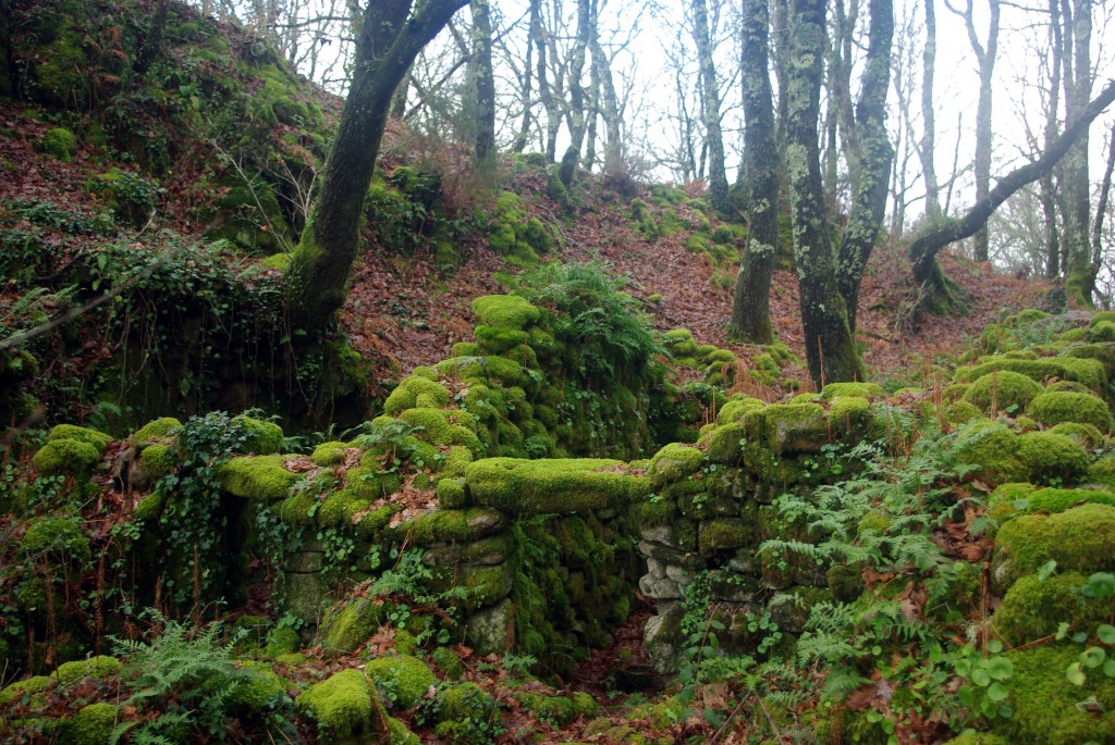 Foto de Fornelos de Montes (Pontevedra), España
