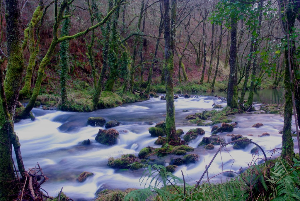 Foto de Fornelos de Montes (Pontevedra), España