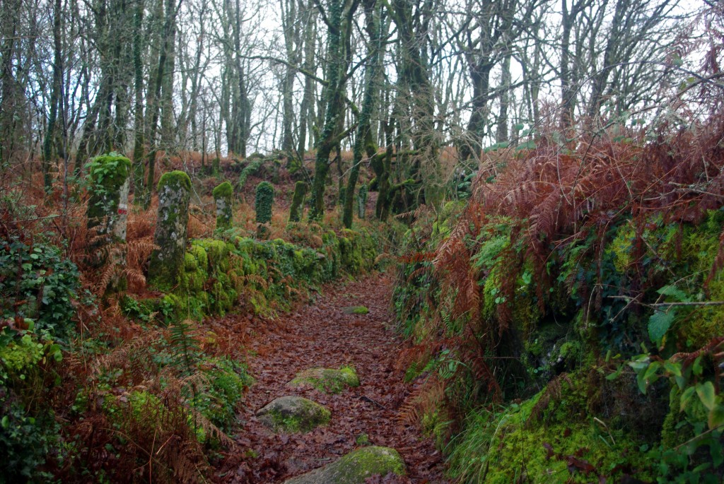 Foto de Fornelos de Montes (Pontevedra), España