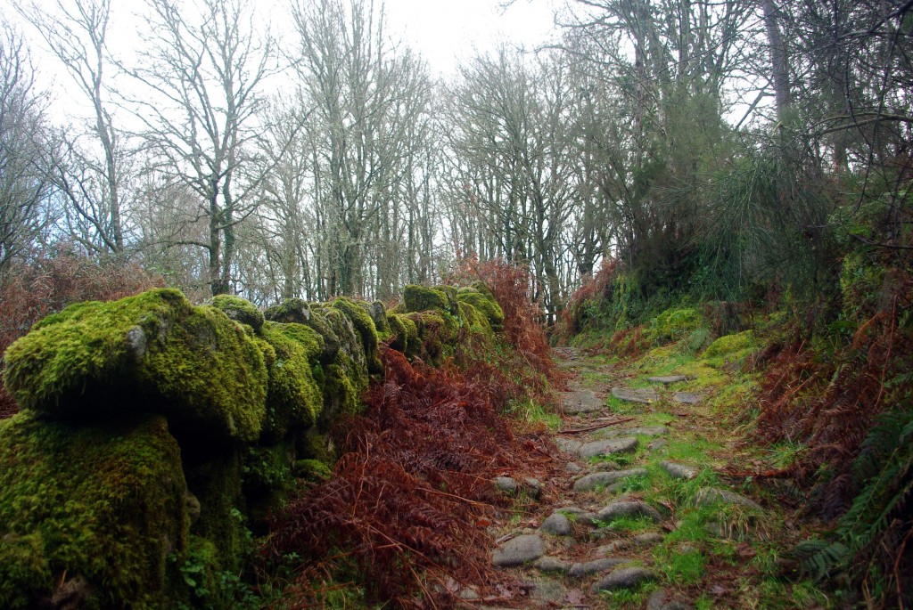 Foto de Fornelos de Montes (Pontevedra), España