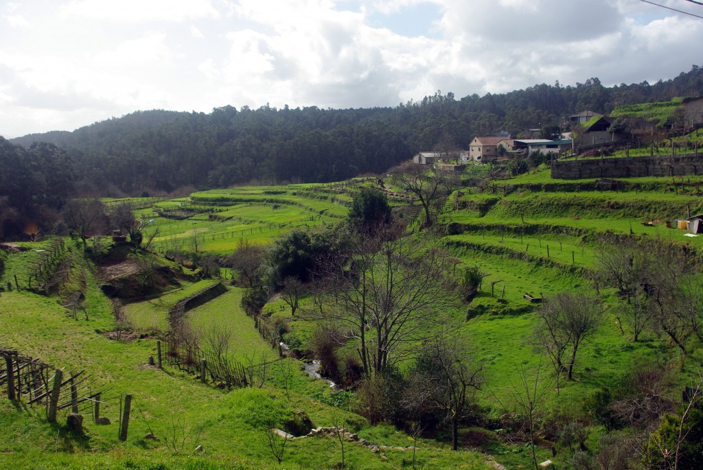 Foto: monte aloia - Tui (Pontevedra), España