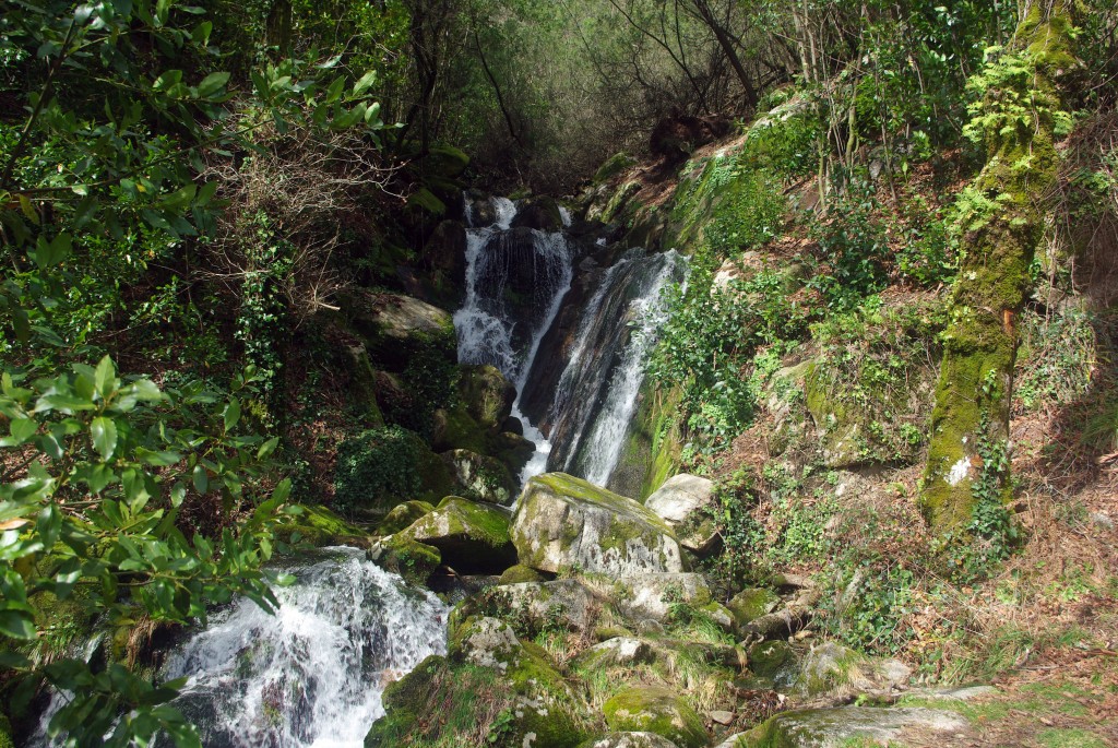 Foto: monte aloia - Tui (Pontevedra), España