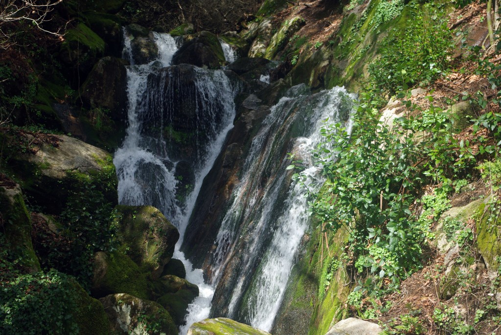 Foto: monte aloia - Tui (Pontevedra), España