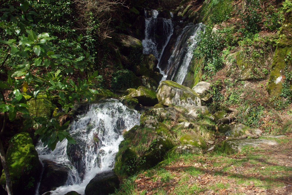 Foto: monte aloia - Tui (Pontevedra), España