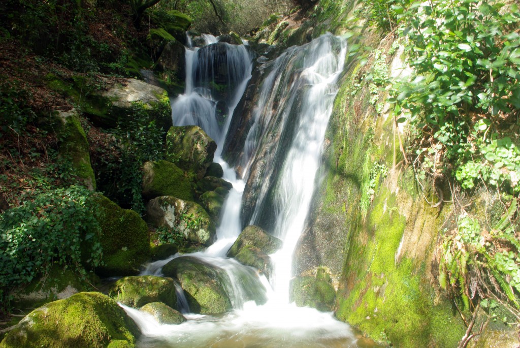 Foto: monte aloia - Tui (Pontevedra), España
