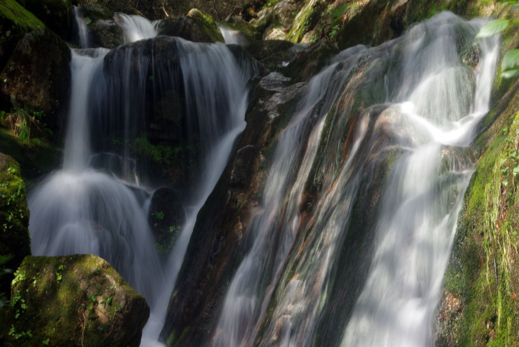 Foto: monte aloia - Tui (Pontevedra), España