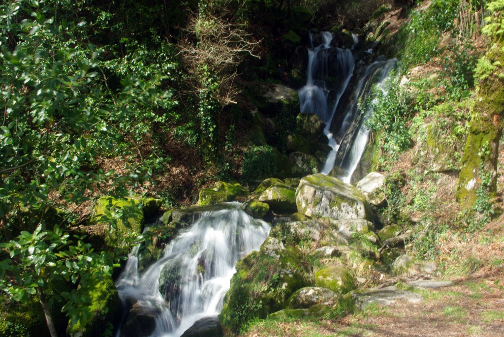 Foto: monte aloia - Tui (Pontevedra), España