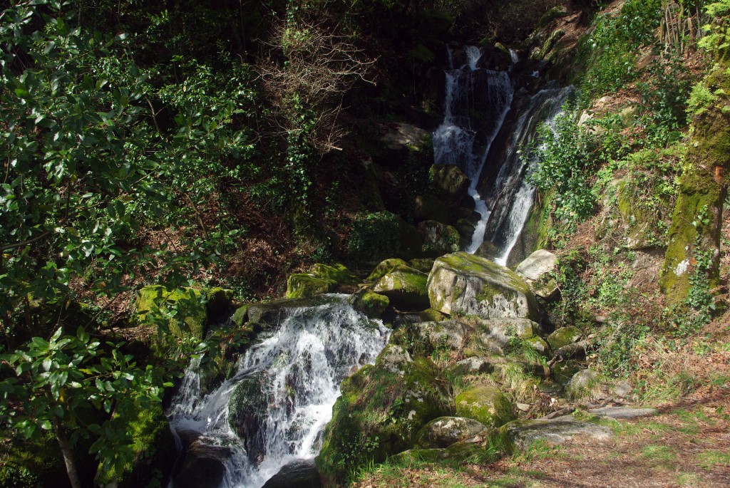 Foto: monte aloia - Tui (Pontevedra), España