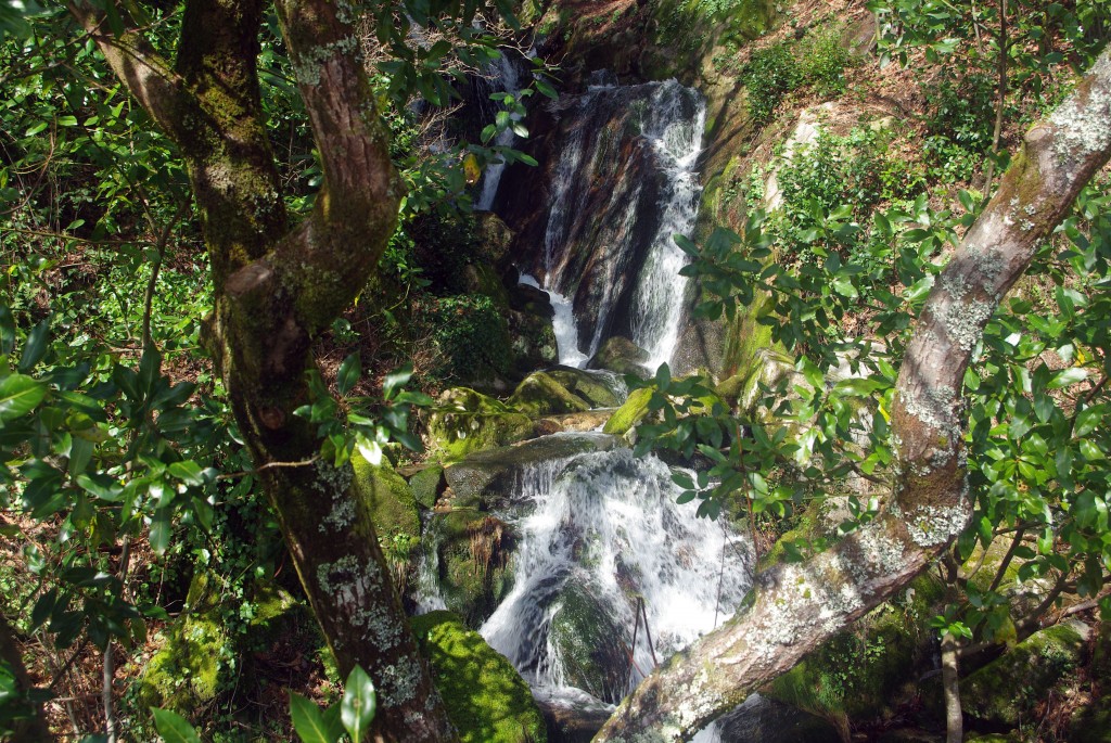 Foto: monte aloia - Tui (Pontevedra), España