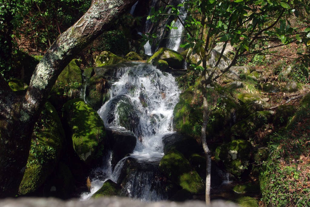 Foto: monte aloia - Tui (Pontevedra), España