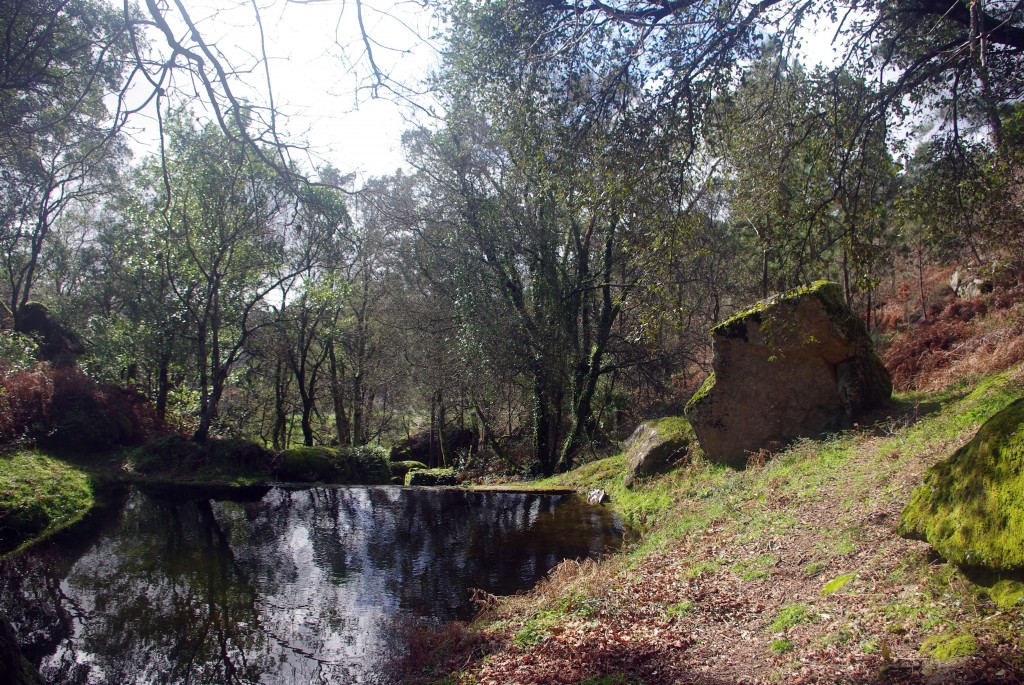 Foto: monte aloia - Tui (Pontevedra), España