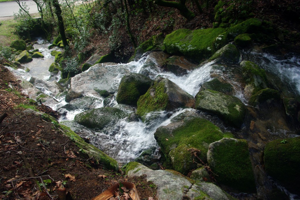 Foto: monte aloia - Tui (Pontevedra), España