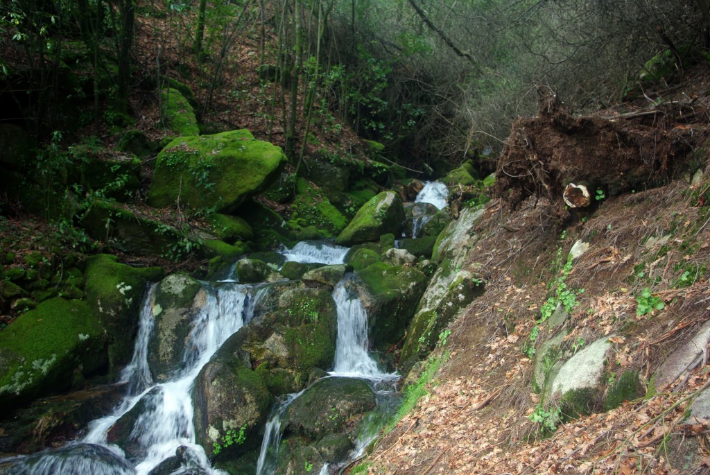 Foto: monte aloia - Tui (Pontevedra), España