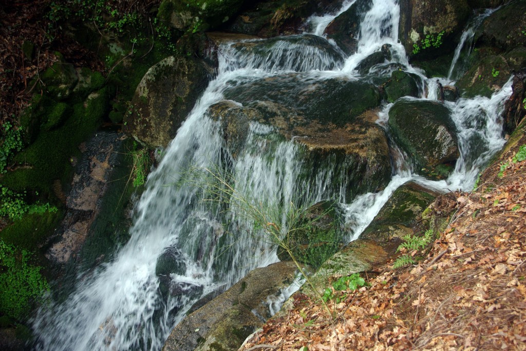 Foto: monte aloia - Tui (Pontevedra), España