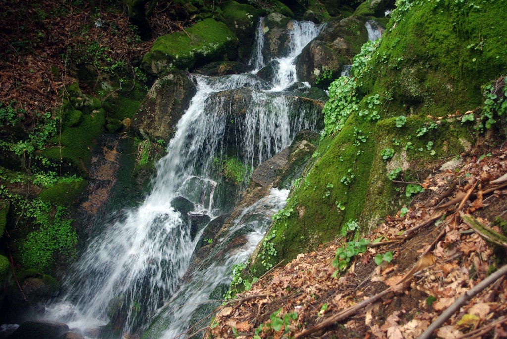 Foto: monte aloia - Tui (Pontevedra), España