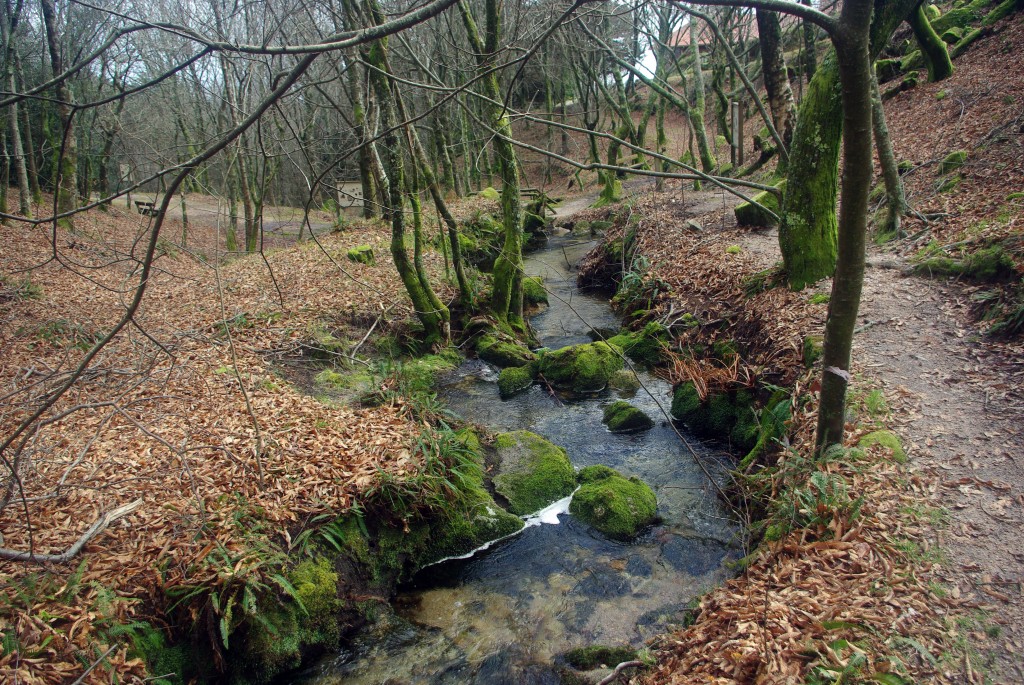 Foto: monte aloia - Tui (Pontevedra), España