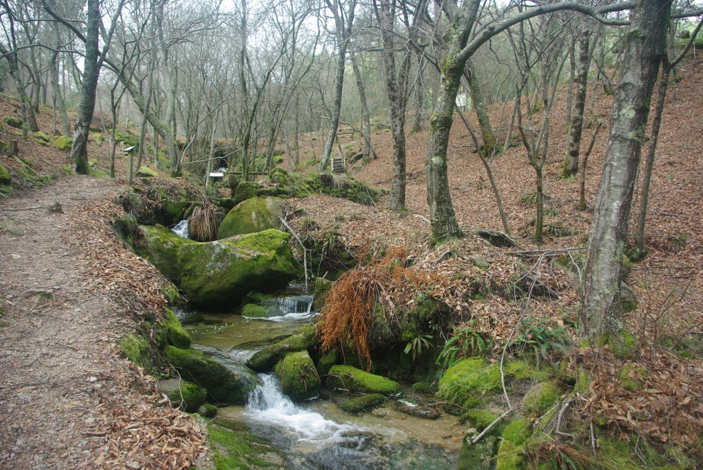 Foto: monte aloia - Tui (Pontevedra), España