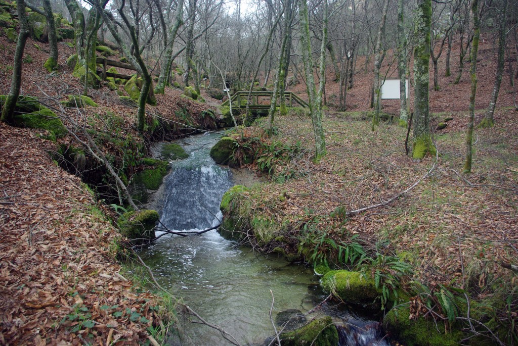 Foto: monte aloia - Tui (Pontevedra), España